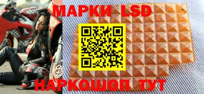 ПСИЛОЦИБИНОВЫЕ ГРИБЫ Новозыбков