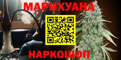 трава Новокубанск