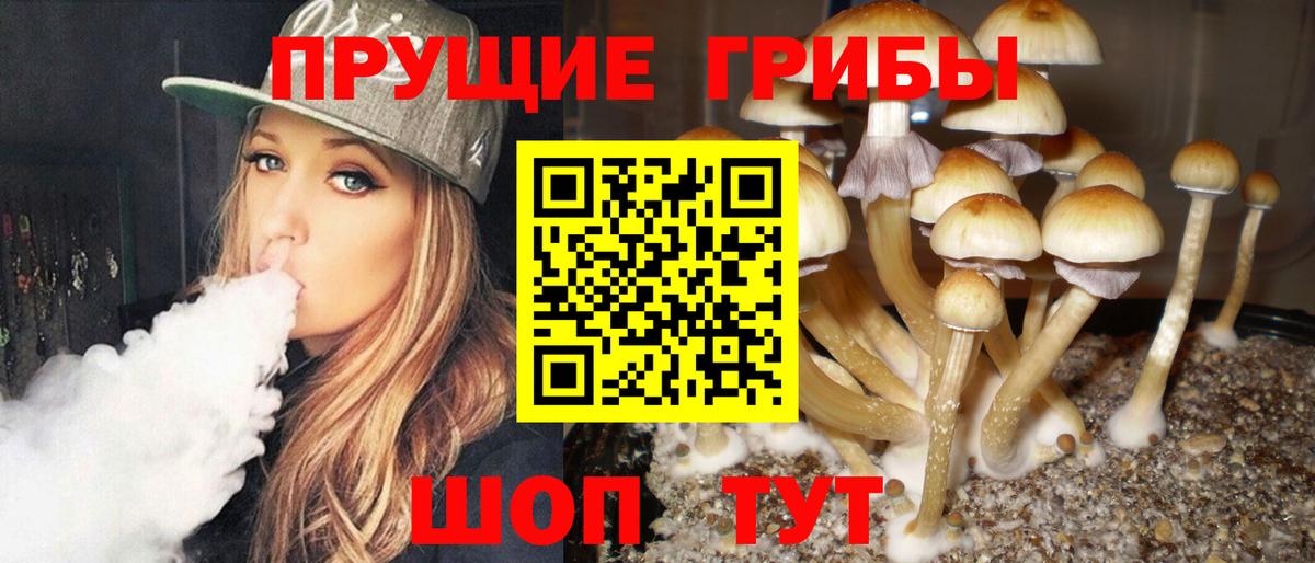 Псилоцибиновые грибы ЛСД Сегежа