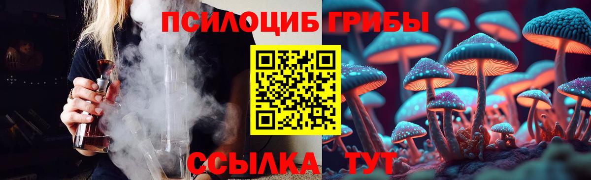 Галлюциногенные грибы Psilocybe  Вход с VPN  Сегежа 
